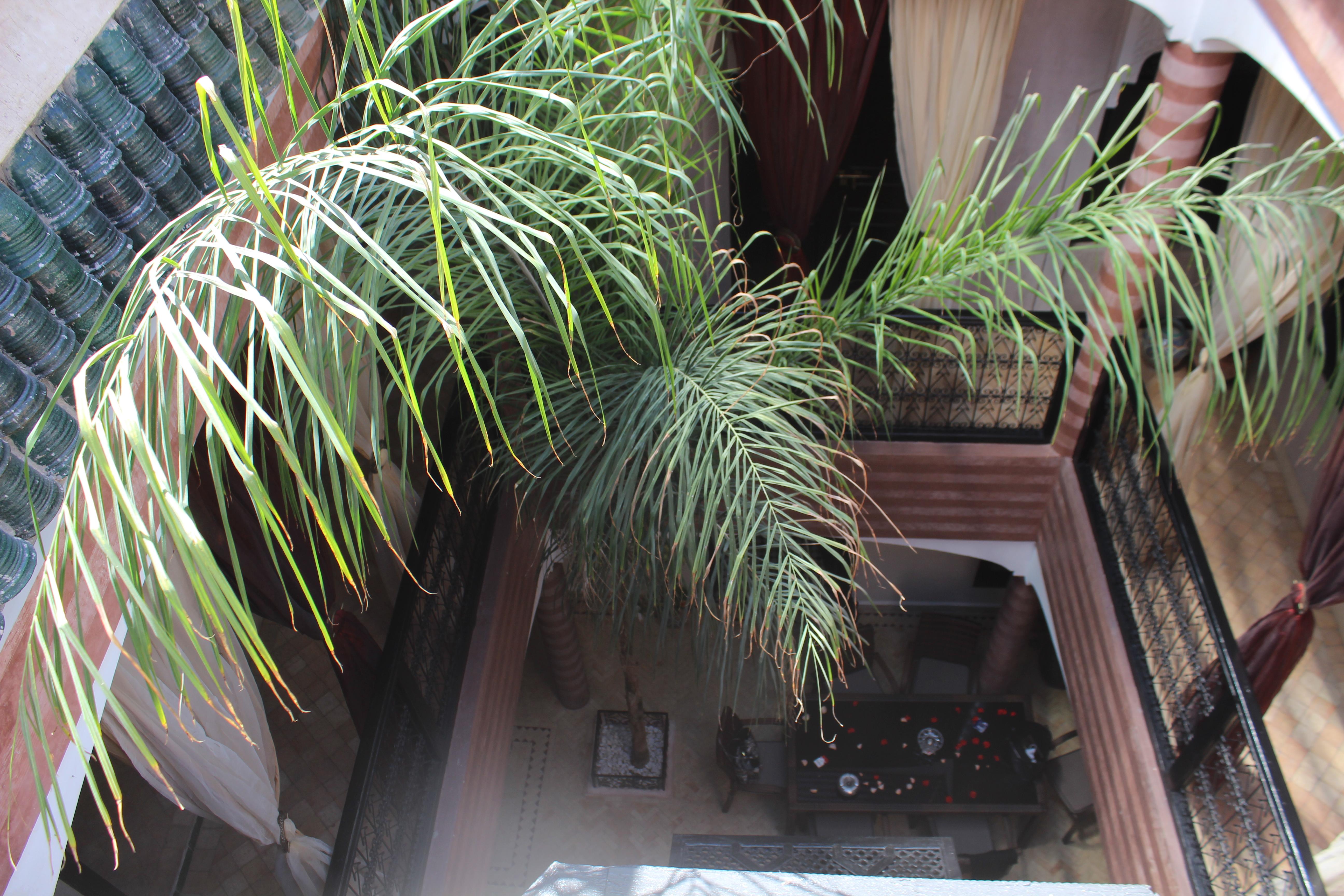 Riad Dar Ftouma Marrakesch Exterior foto