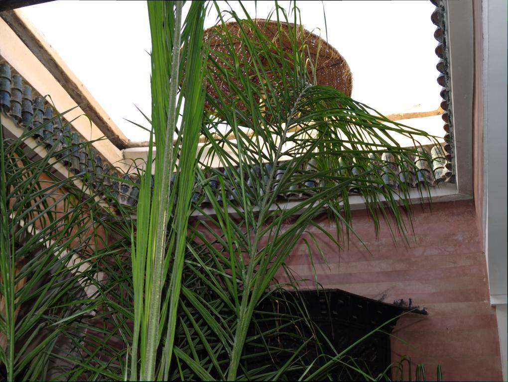 Riad Dar Ftouma Marrakesch Exterior foto